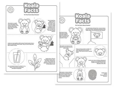 Fun Koala Facts For Kids - Print & Play! | Kids Activities Blog