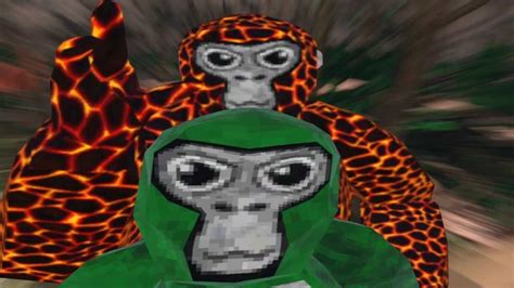 an image of a monkey in a green hoodie next to a giraffe