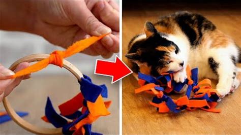 Easy To Make DIY Cat Toys Your Pet Will Love! - YouTube