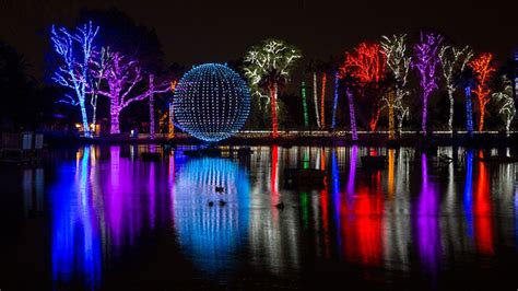 Phoenix Zoo Lights Up the Valley Over the Holidays | Bear Essential News