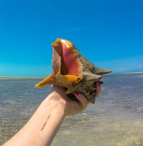 COOK THE NATIONAL DISH OF THE BAHAMAS — THE TRAVELING GINGER