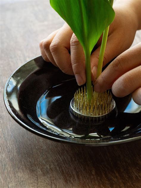 Ikebana Tools