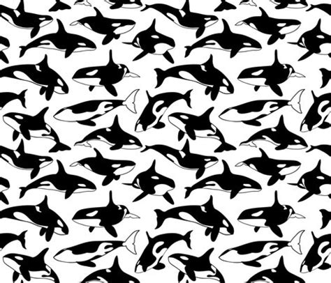 Orca fabric - fattcheese - Spoonflower