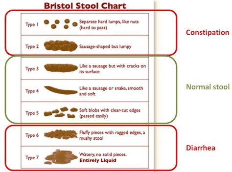 Best Ibs And Stool Shape Don t miss out | stoolz