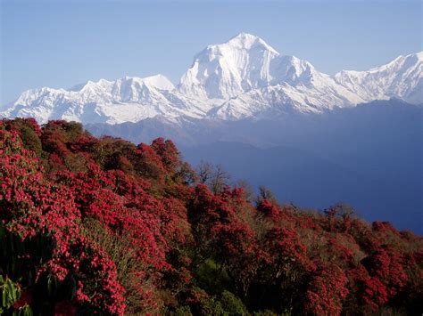 Nepal, Himalayas, Mountains HD Wallpapers / Desktop and Mobile Images & Photos