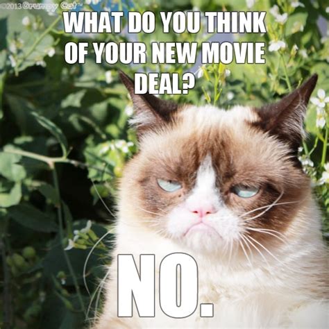 Grumpy Cat Gets a Movie Deal; Does Not Appear to Be the Least Bit Pleased - Catster