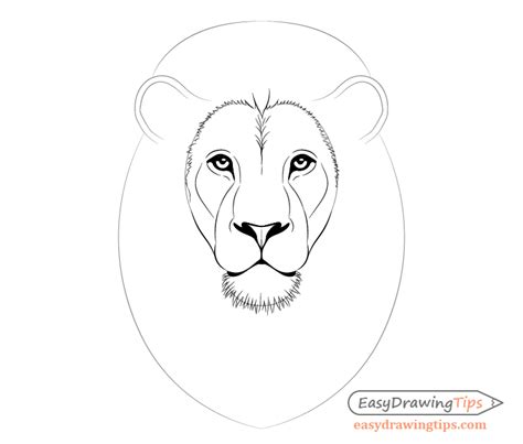 How to Draw Lion Face & Head Step by Step - EasyDrawingTips