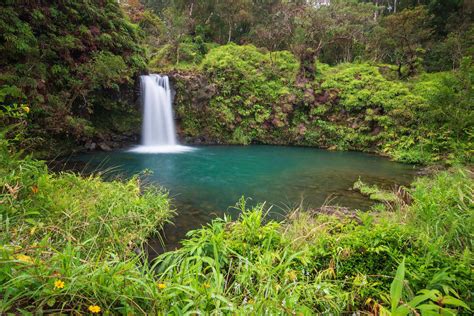 Top 12 Best Waterfalls on Maui You Should Visit | Hawaii Travel with Kids