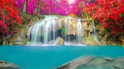 Waterfall Flowers Wallpapers - Top Free Waterfall Flowers Backgrounds - WallpaperAccess