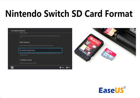 What Is the Best Nintendo Switch SD Card Format & How to Format [2024 ...