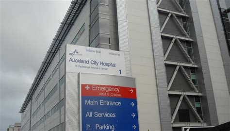 Prisoner escapes custody at Auckland City Hospital | Newshub