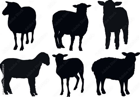 Sheep silhouette set icon, SVG Vector Stock Vector | Adobe Stock