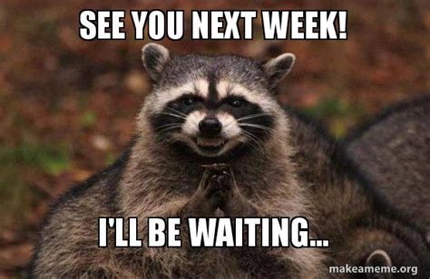 See you next week! I'll be waiting... - Evil Plotting Raccoon Meme Generator