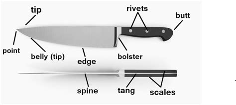 Chef Knife Anatomy - Learn The Parts Of A Knife And Know What To Look For When You Buy Misen