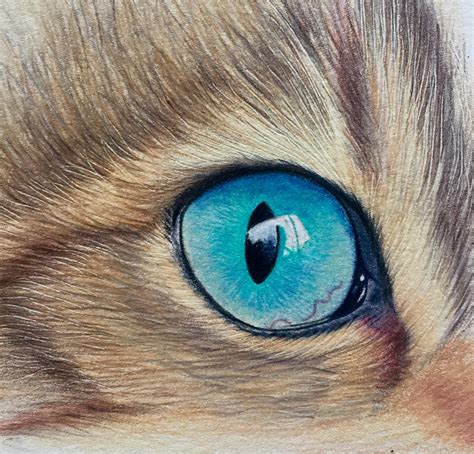 Derwent Chromaflow Cats Eye Tutorial – Archelle Art