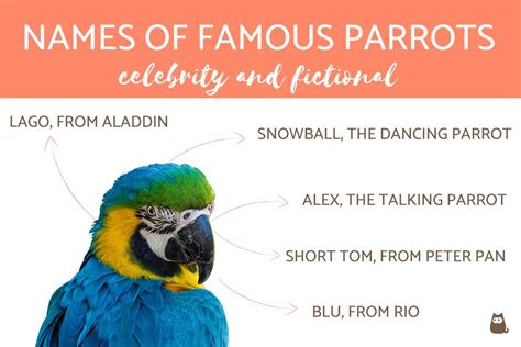 Names of Famous Parrots - Celebrity and Fictional Parrot Names!