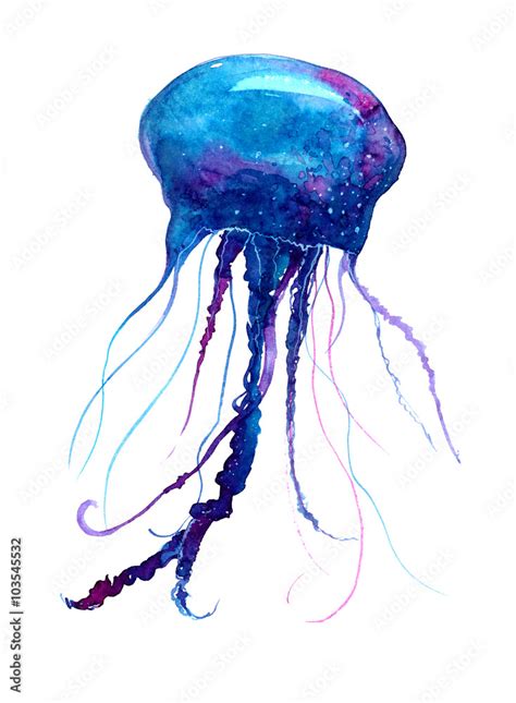 Jellyfish watercolor illustration. Medusa painting isolated on white ...