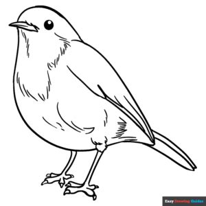 Robin Coloring Page | Easy Drawing Guides