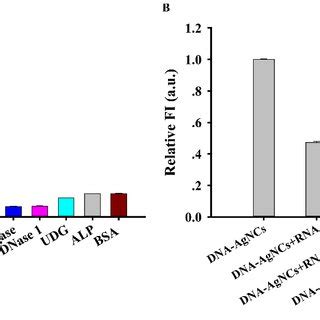 (A) Specificity of the RNase A activity assay. [RNase A]=1μg/mL,... | Download Scientific Diagram