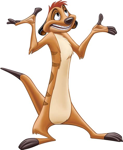 Image - Timon 1.png | Disney Wiki | FANDOM powered by Wikia