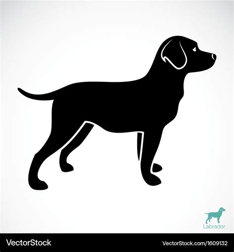 Dog labrador Royalty Free Vector Image - VectorStock