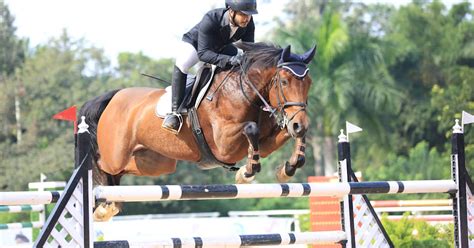 The Commonly Used Horse Jump Equipment and Its Uses – GreatPetNet