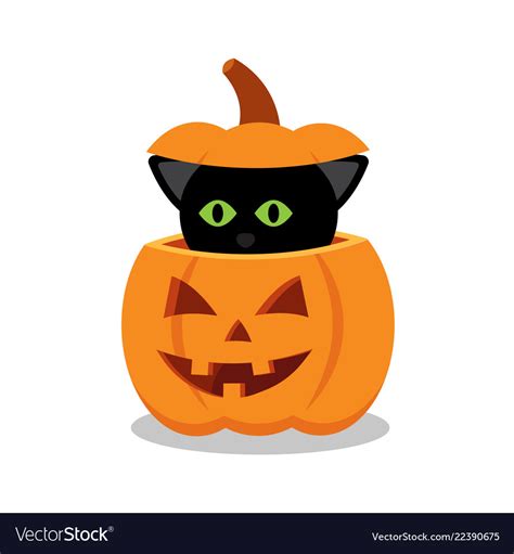 Black cat on a halloween pumpkin Royalty Free Vector Image