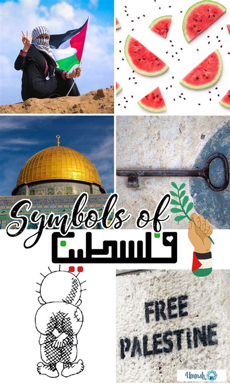 21 Powerful Symbols of Palestine That Echo Heritage and Resilience - Ummah.com