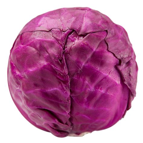 Cabbage Red - Single - Vivre Gourmet