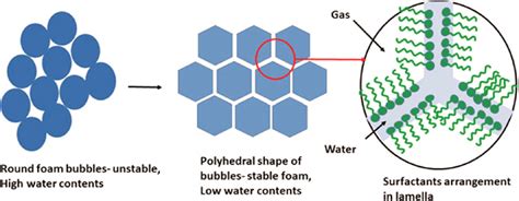 Types of foam structures [24]. | Download Scientific Diagram