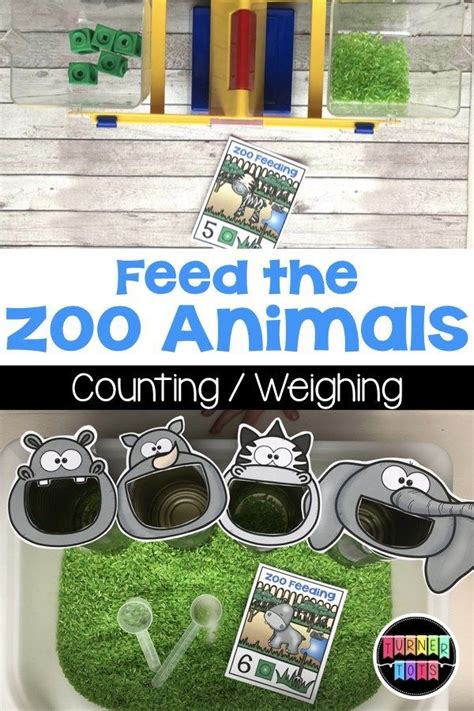 Zoo Animals Counting Sensory Bin - Zoo Math Activity for Zoo Animals | Zoo animals preschool ...