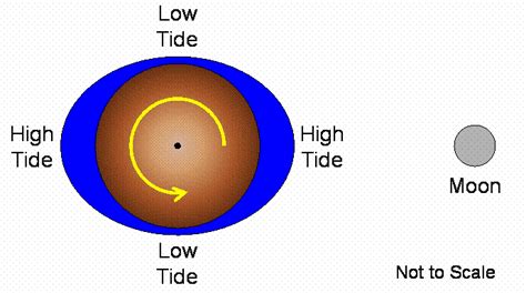 Lecture 20: Tides