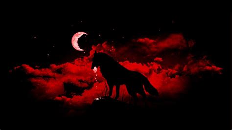 Red Wolf Wallpapers - Top Free Red Wolf Backgrounds - WallpaperAccess