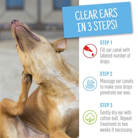 How To Determine If Your Dog Has Ear Mites