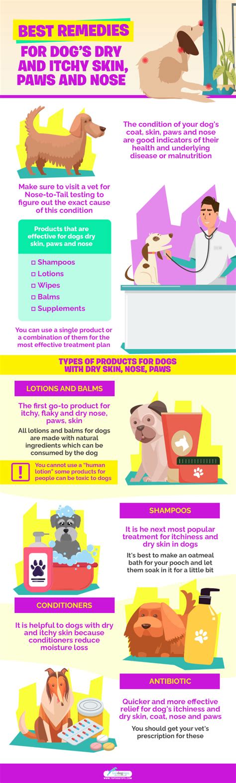 5 Best Remedies for Dogs Dry Skin in 2020 (Nose, Paws, Coat and Body)