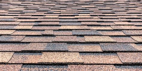 Best Types of Asphalt Roof Shingles in Florida | Classic Roofing