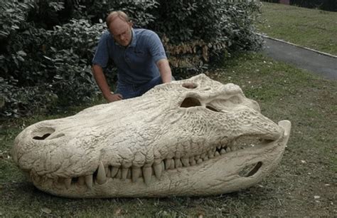 Purussaurus, probably the biggest crocodile ever : r/nextfuckinglevel