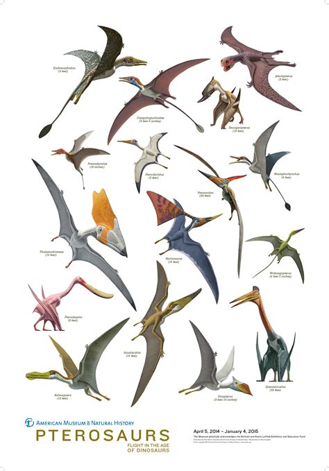 Pterosaurs – pIXELsHAM