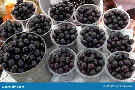 Jamblang fruit stock photo. Image of round, mosque, aceh - 137208356