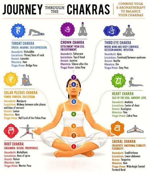 Different Types of Yoga Asanas Meditation for Beginners With Their Benefits Pictures Explained ...