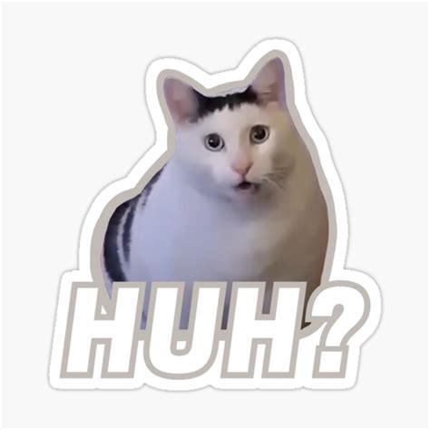 "Huh cat meme | Huh?" Sticker for Sale by ins1ck | Redbubble