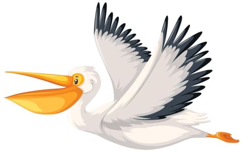 Pelican Background PNG Transparent Images Free Download | Vector Files ...