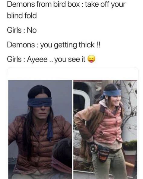 Best Bird Box Memes