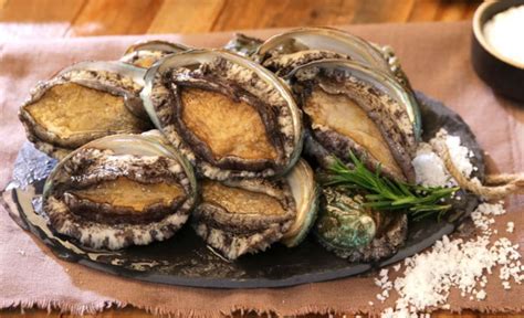 Abalone - Definition of Abalone