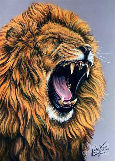 Lion Roaring Drawing In Color