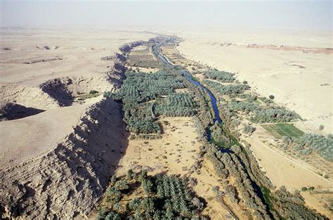 Saudi Arabian Oasis Photograph by Ray Ellis