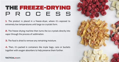 What Are The Best Freeze-Dried Foods For Hiking, Camping, and ...