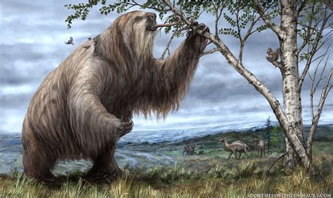 Giant Ground Sloth- Brian Engh #prehistoriccreatures | Prehistoric animals, Prehistoric ...