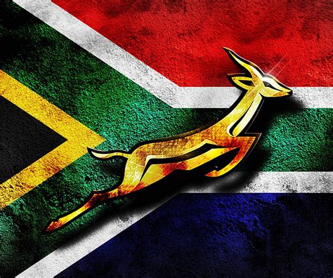 Springbok Rugby Wallpaper