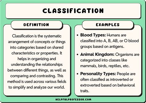 25 Classification Examples (2025)